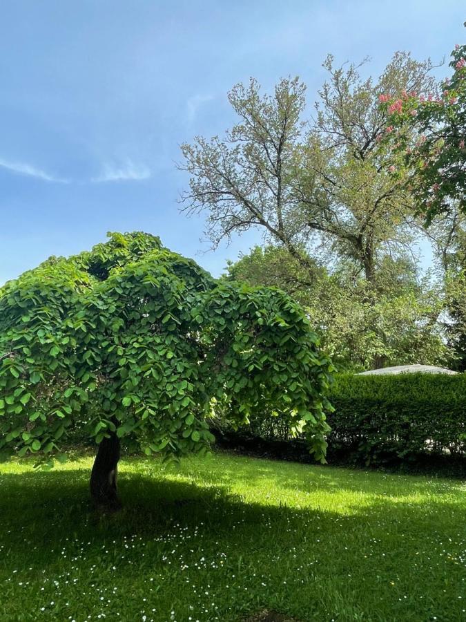 Villa Mura Gite Luxe Avec Piscine Et Spa Campagne Et Grand Air Nouvelle Aquitaine Correze Neuvic  Exterior foto